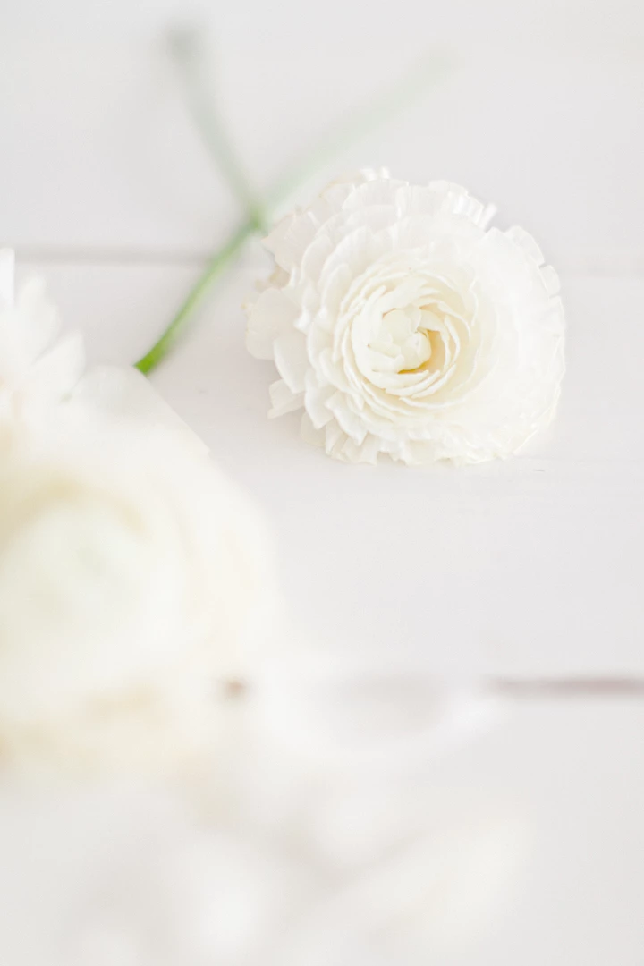 Inspiration Printemps